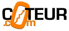 Pourquoi jouer en ligne ?